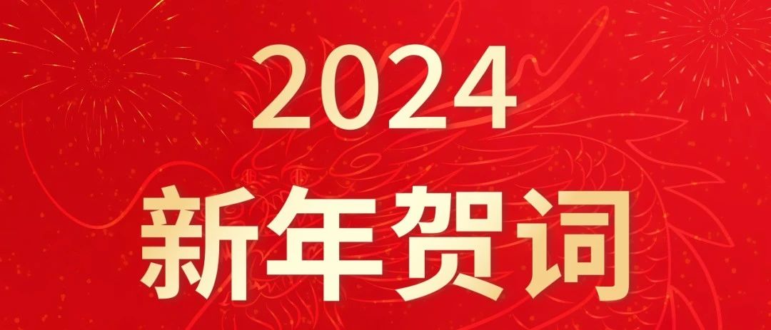 淮海控股集团党委书记董事长安继文新年贺词